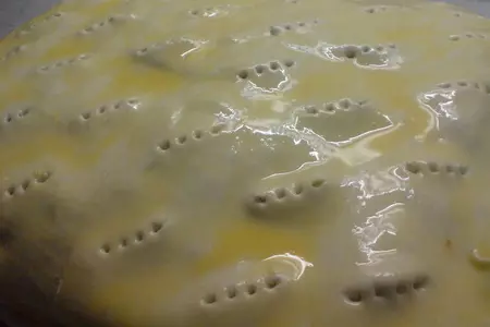 Новгородская рыбная кулебяка с лососем, рисом и яйцом: шаг 7