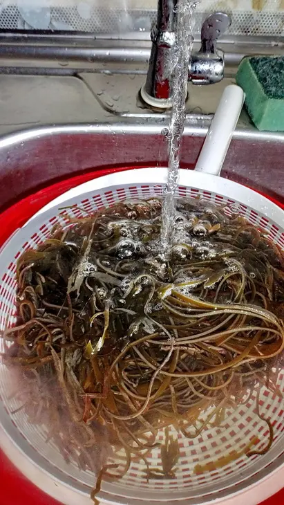 Салат из морской капусты с кунжутом по-корейски: шаг 4