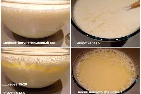 Йогурт и творог=домашняя молочная кухня: шаг 8