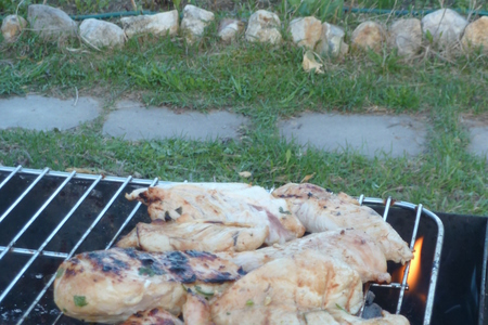 Куриная грудка в имбирно-соевом маринаде, жаренная  на углях. открытие сезона "айда на пикник": шаг 6