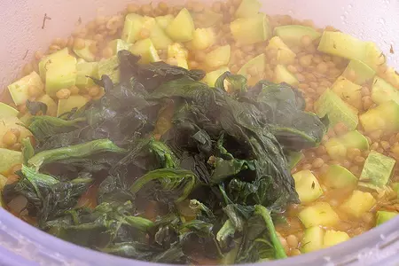 Чечевица, томленная в морковном соке с кабачками и шпинатом. (обретение легкости: тест-драйв): шаг 4