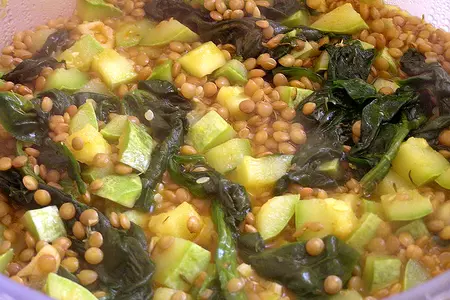 Чечевица, томленная в морковном соке с кабачками и шпинатом. (обретение легкости: тест-драйв): шаг 5