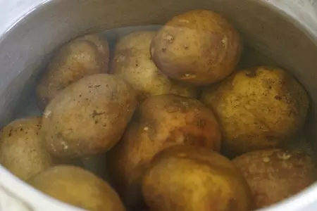 Сурки (švilpikai): шаг 1