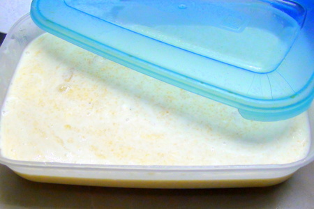 Мягкое индийское мороженое kulfi из фруктов и йогурта.: шаг 4