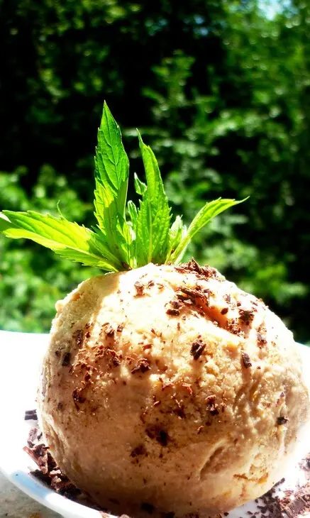 Шоколадно-абрикосовое мороженое: шаг 4