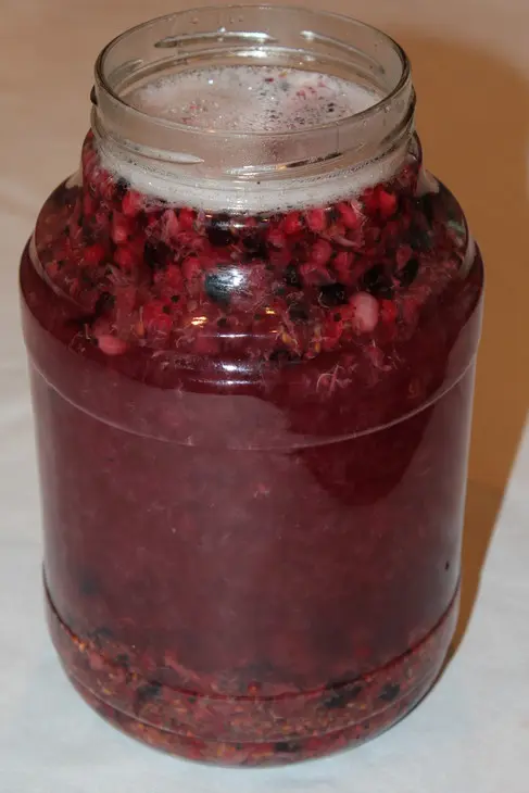 Квас дрожжевой из черной и красной смородины: шаг 3
