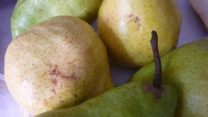 Изысканный грушевый джем (harrods nuns pear jam ): шаг 4
