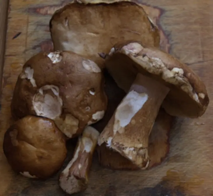 Рижские голубцы с грудинкой и белыми грибами: шаг 1