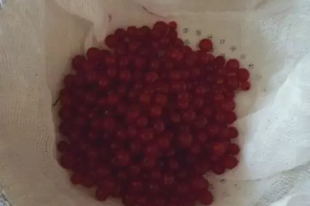 Томатный сок с..... красной смородиной и ещё с кое чем ;): шаг 1