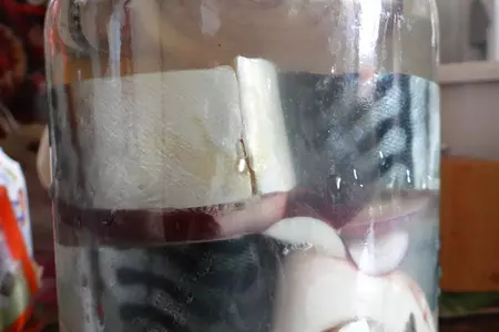 Скумбрия маринованная с луком: шаг 5