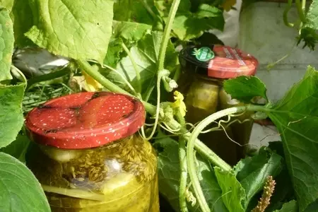 Маринованные огурцы и не только: шаг 4