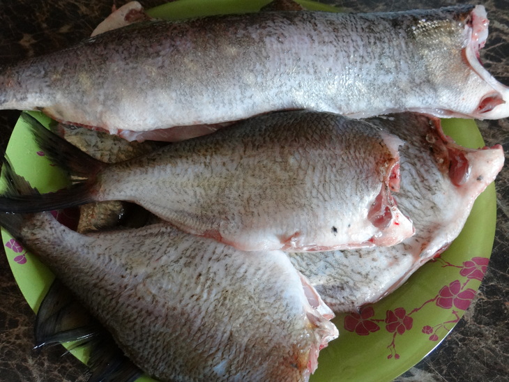 Кебаб из рыбы (речной): шаг 1