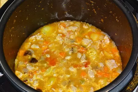 Подлива горчичная с фаршем и овощами (тест-драйв vitek): шаг 7