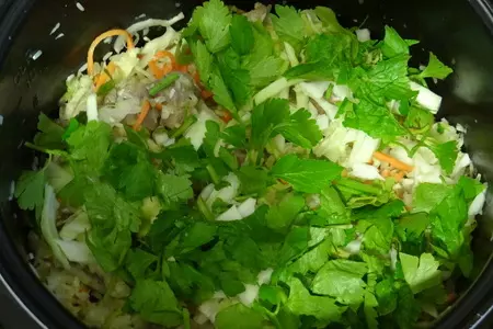 Капуста, тушеная с индейкой и рисом (тест-драйв vitek): шаг 4