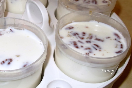 Йогурт с кленовым сиропом и орехами пекан в карамели. тест-драйв: шаг 3