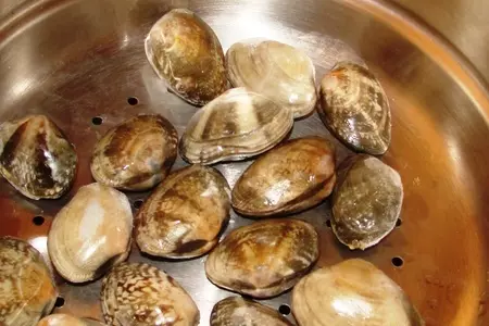 Морские ракушки: шаг 2