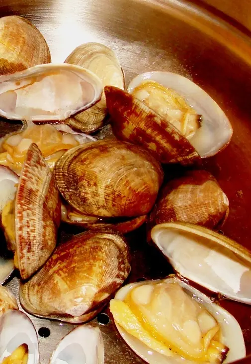 Морские ракушки: шаг 3