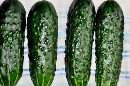 Закуска из огурцов ,фаршированных горбушей(лососем): шаг 4