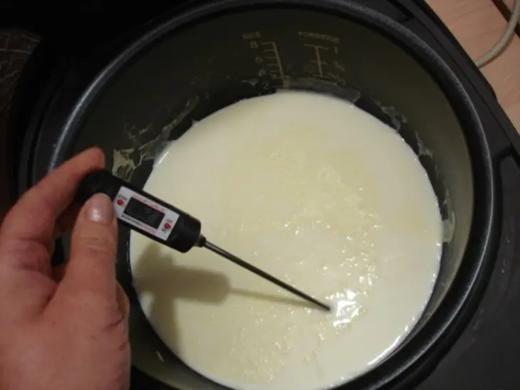 Десерт из замороженного йогурта с конфитюром из хурмы" шоколадный королек" тест драйв vitek: шаг 1