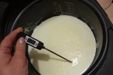 Десерт из замороженного йогурта с конфитюром из хурмы" шоколадный королек" тест драйв vitek: шаг 1