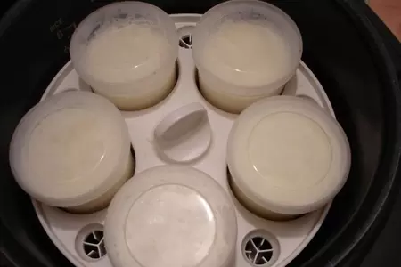 Десерт из замороженного йогурта с конфитюром из хурмы" шоколадный королек" тест драйв vitek: шаг 3