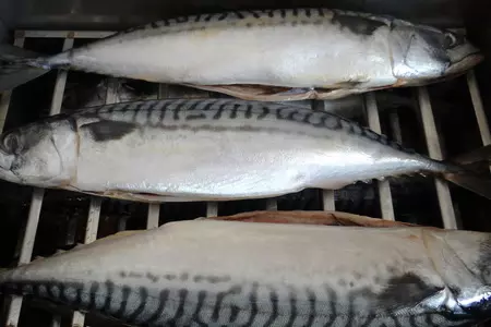 Скумбрия горячего копчения домашняя: шаг 3