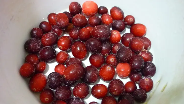 Ирландский содовый хлеб с клюквой,розмарином и грецкими орехами (рождественский завтрак): шаг 4