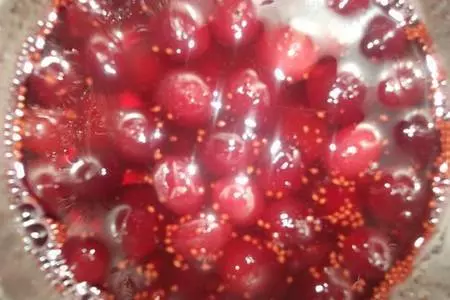 Десерт " любимый с клюквой ": шаг 5