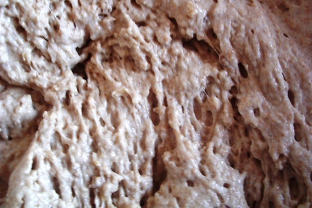 Хлеб мультизлаковый с грецким орехом.: шаг 4