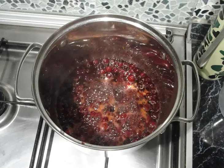 Жаренный сыр с клюквенным соусом по всей земле: шаг 4