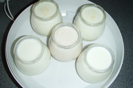 Йогурты домашние - приготовление в йогуртнице: шаг 7