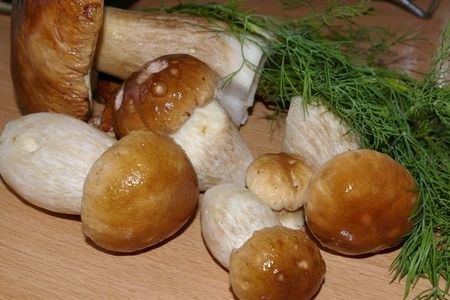 Каннеллони с белыми грибами "затмение": шаг 1