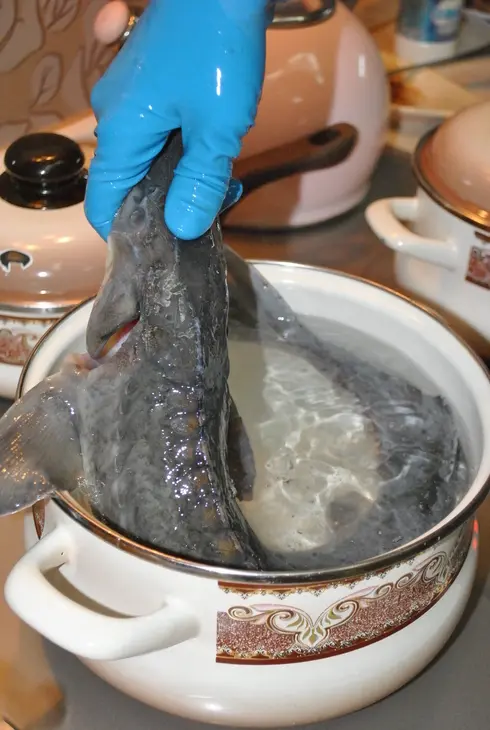 Деликатесный осетр, фаршированный к празднику или very important fish: шаг 7