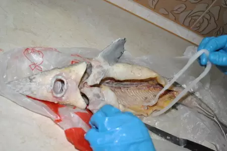 Деликатесный осетр, фаршированный к празднику или very important fish: шаг 10