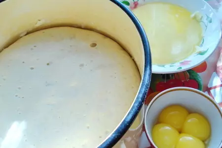 Блины русские (дрожжевые): шаг 2