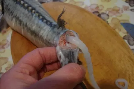 Рагу из осетрины в горшочках: шаг 6