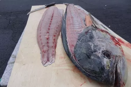 Рыба в кукурузной муке: шаг 2