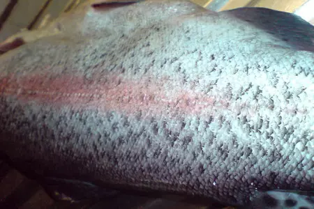 Морская форель ,запечённая с овощами: шаг 3