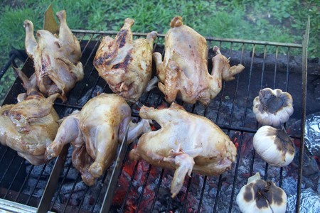 Цыплята корнишоны на гриле в соевом маринаде для дорогих друзей!!!: шаг 2
