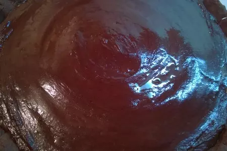 Швейцарский шоколадный тарт с ревенем: шаг 7