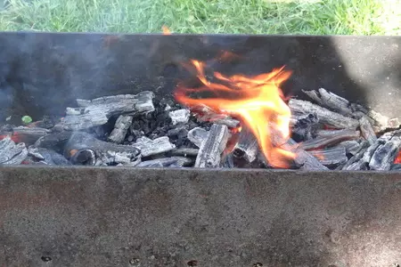 Скумбрия маринованная в соевом соусе и скумбрия копченая: шаг 6