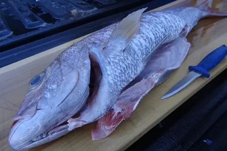 Морской окунь с беконом и спаржей на гриле: шаг 3
