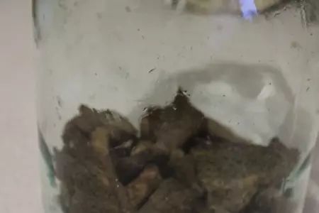 Домашний хлебный квас: шаг 2