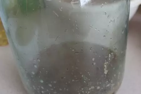Домашний хлебный квас: шаг 9