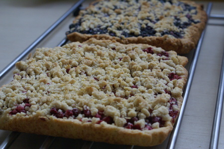 Crowberry and blueberry crumb bars (брусничное и черничное печенье с крошкой): шаг 17