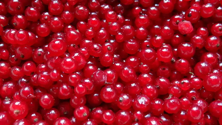 Мясной соус из красной смородины: шаг 1