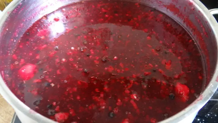 Мясной соус из красной смородины: шаг 3