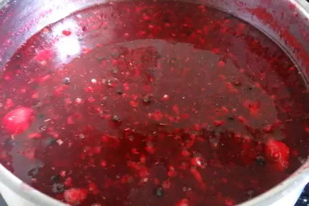 Мясной соус из красной смородины: шаг 3