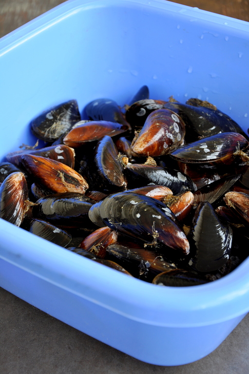 Паэлья с морепродуктами и курицей 2 (shellfish and chicken paella): шаг 1