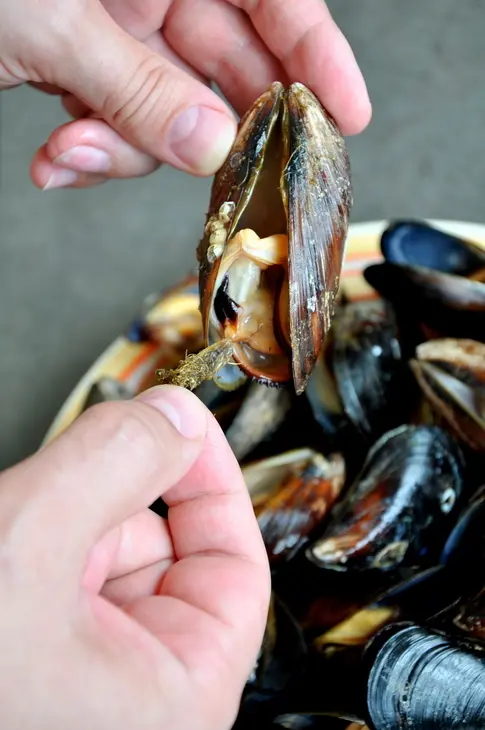 Паэлья с морепродуктами и курицей 2 (shellfish and chicken paella): шаг 4